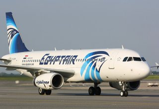 Самолет Egypt Air совершил экстренную посадку в Афинах