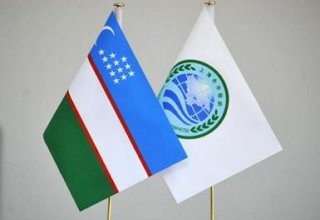 Tashkent to host environment ministers of SCO member states