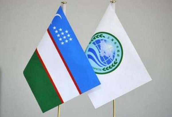 Uzbekistan puts forward proposals to boost transport, logistics capabilities within SCO