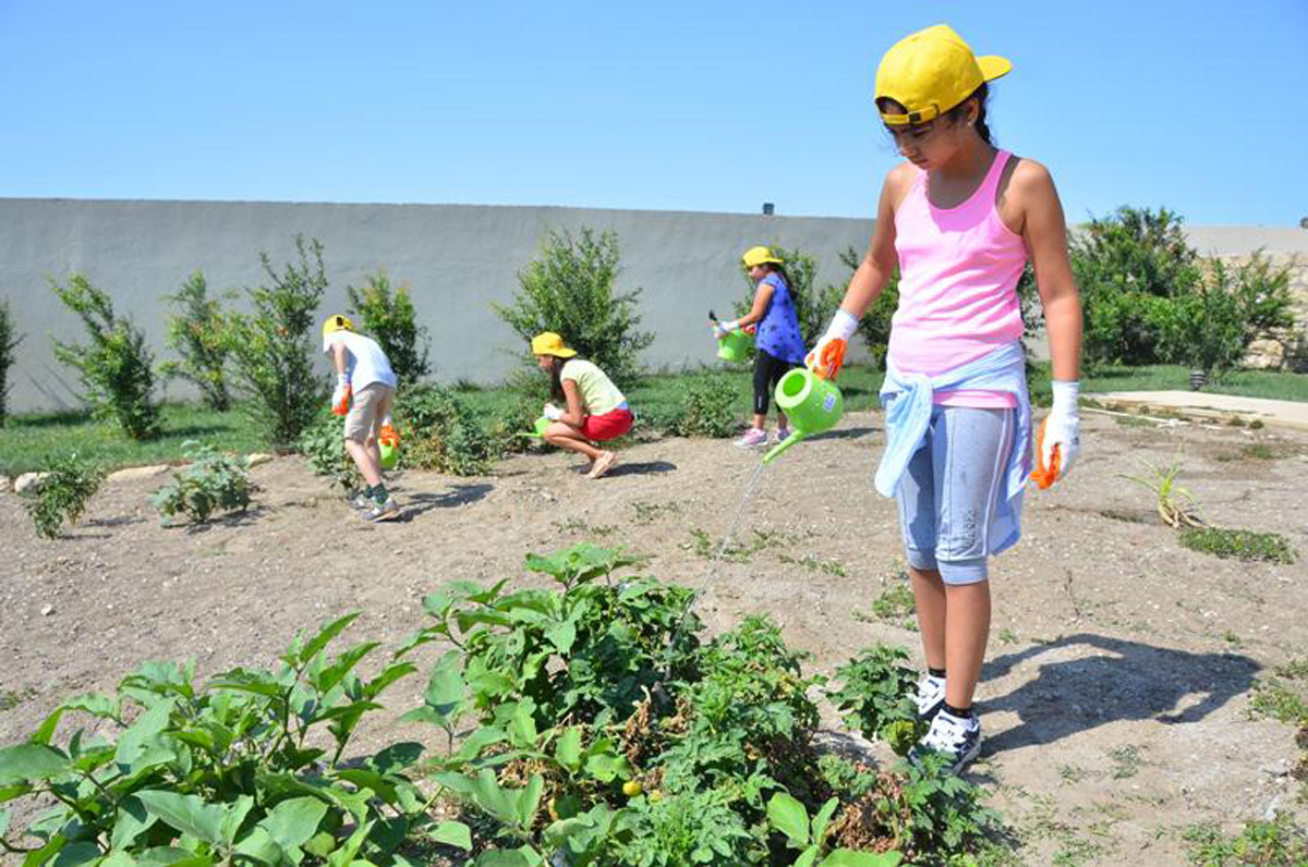 Вклад школьников в защиту агробиоразнообразия Азербайджана (ФОТО)