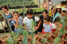Вклад школьников в защиту агробиоразнообразия Азербайджана (ФОТО)