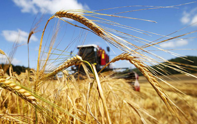 Azerbaijan implementing agricultural activity expansion project