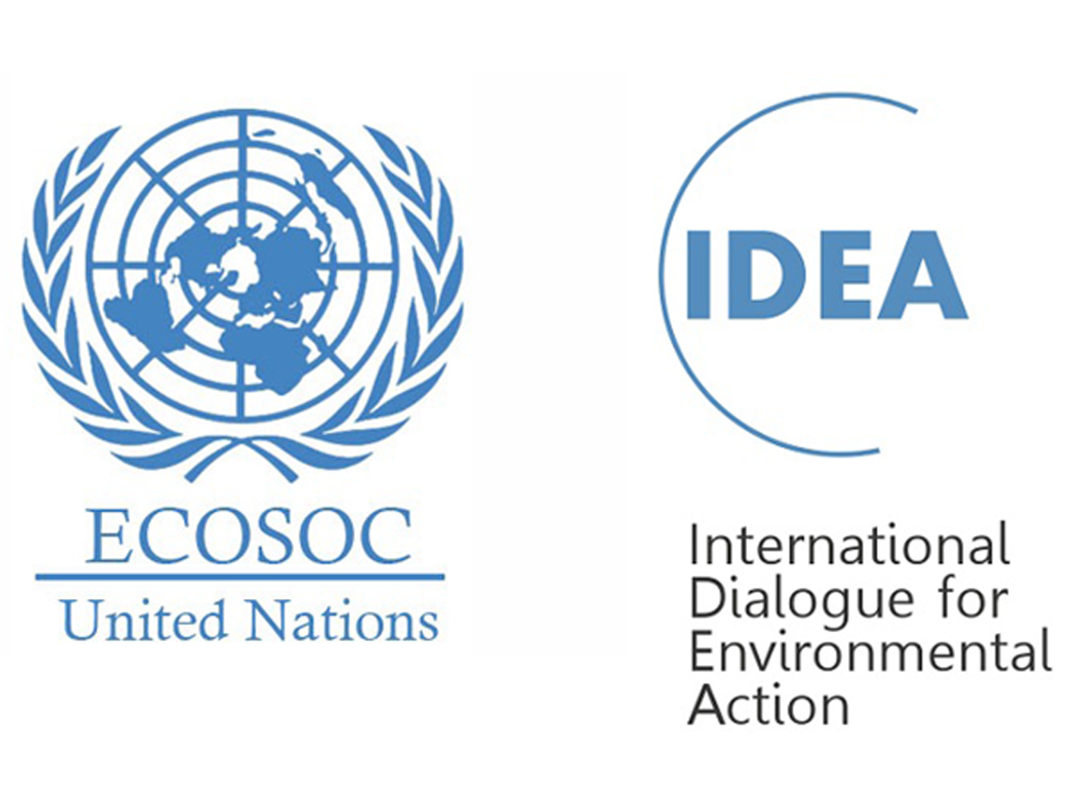 IDEA присвоен статус специального наблюдателя ЭКОСОС ООН