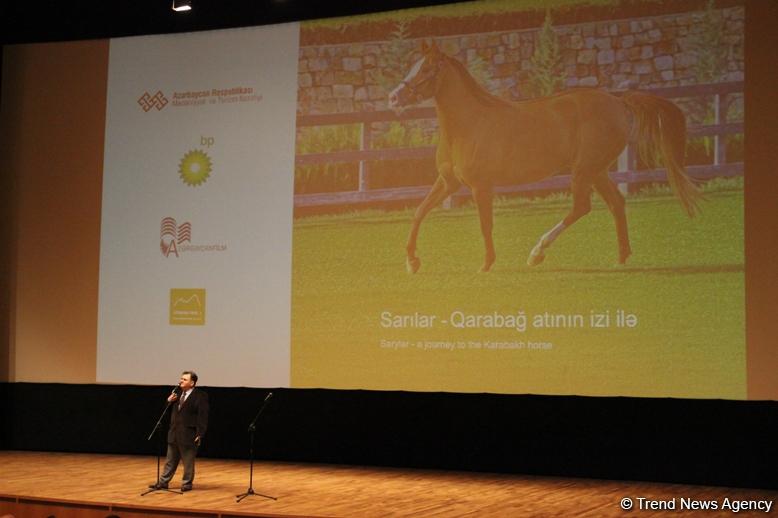 По следам Карабахского коня – от Великобритании до Азербайджана  (ФОТО)