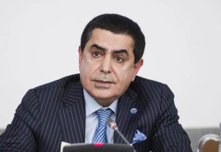 Al Nasser: “Bakü'de dünyayı rahatsız eden konular müzakere edilecek”