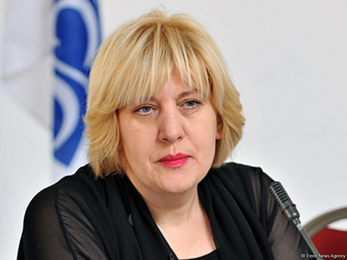 Комиссар Совета Европы по правам человека прокоментировала события в Тбилиси