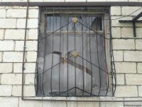 Армения продолжает акты вандализма  в Агдамском районе (ФОТОФАКТ)