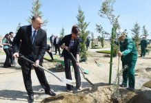 President Aliyev with spouse attends tree-planting event marking National Leader’s birthday anniversary