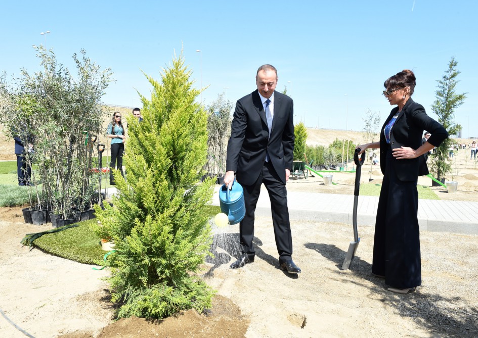 Президент Азербайджана и его супруга приняли участие в кампании по посадке деревьев по случаю дня рождения великого лидера Гейдара Алиева (ФОТО)
