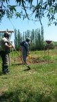 В прифронтовых районах Азербайджана продолжается очистка территории от мин и снарядов