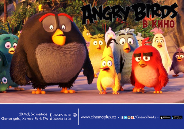 Легендарная мобильная игра "Angry Birds в кино" на экранах CinemaPlus в Баку (ВИДЕО)