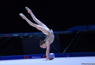 Азербайджанские судьи по художественной гимнастике получили максимальное количество категорий в Олимпийском цикле