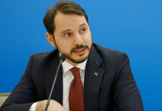 Министр энергетики Турции назначен сопредседателем межправкомиссии с Азербайджаном