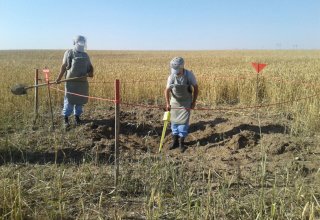 В прифронтовых районах Азербайджана обезврежены два неразорвавшихся боеприпаса и мина (ФОТО)