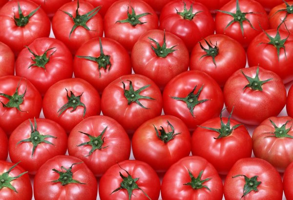 Rusya'dan "Türk domatesi" açıklaması: İzin vermeyi düşünmüyoruz