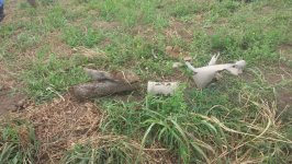 В Гяндже обнаружены три НБП (ФОТО)