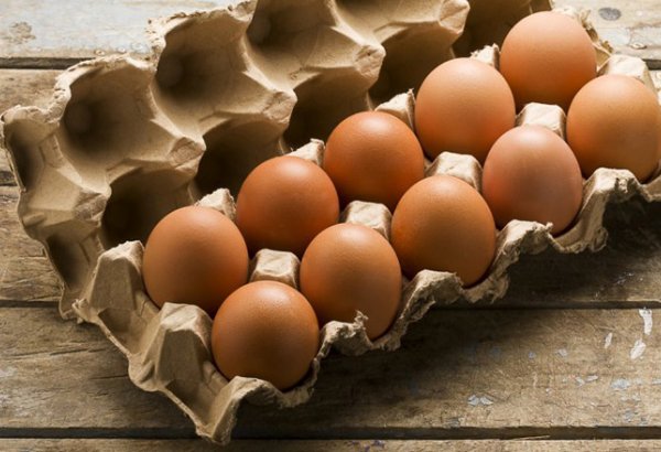 Azerbaijan plans to export eggs to Russia, Iran
