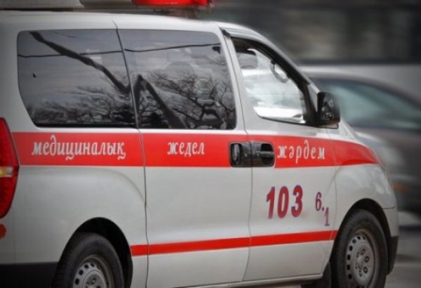В Казахстане зафиксирована первая смерть после вспышки сибирской язвы