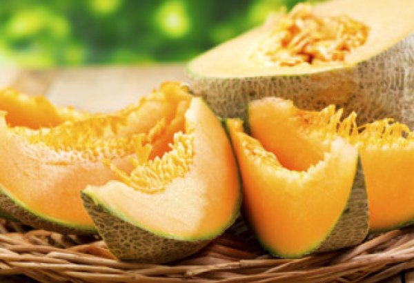 Uzbekistan starts supplies of melons to Latvia