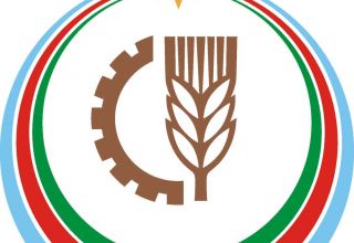 Нарушения в «Агролизинг» охватывают период до 2018 года - минсельхоз Азербайджана