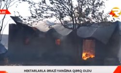 Şəkidə güclü yanğın 560 hektar ərazini külə çevirib (FOTO/VIDEO)