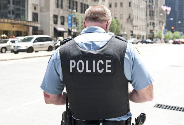 Nyu-York polisi əməliyyat keçirdi - Pişiyi tutmaq üçün