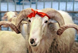 Минсельхоз Азербайджана усилил ветеринарный контроль в связи с праздником Гурбан