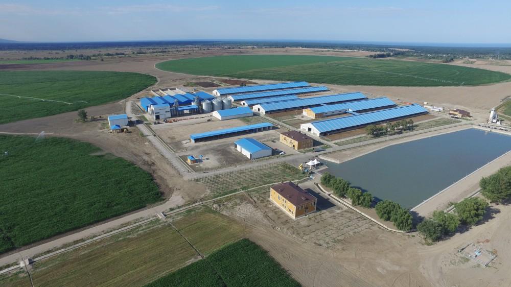 Казахстан сократит экспорт продукции агропромышленного комплекса в 2020 году