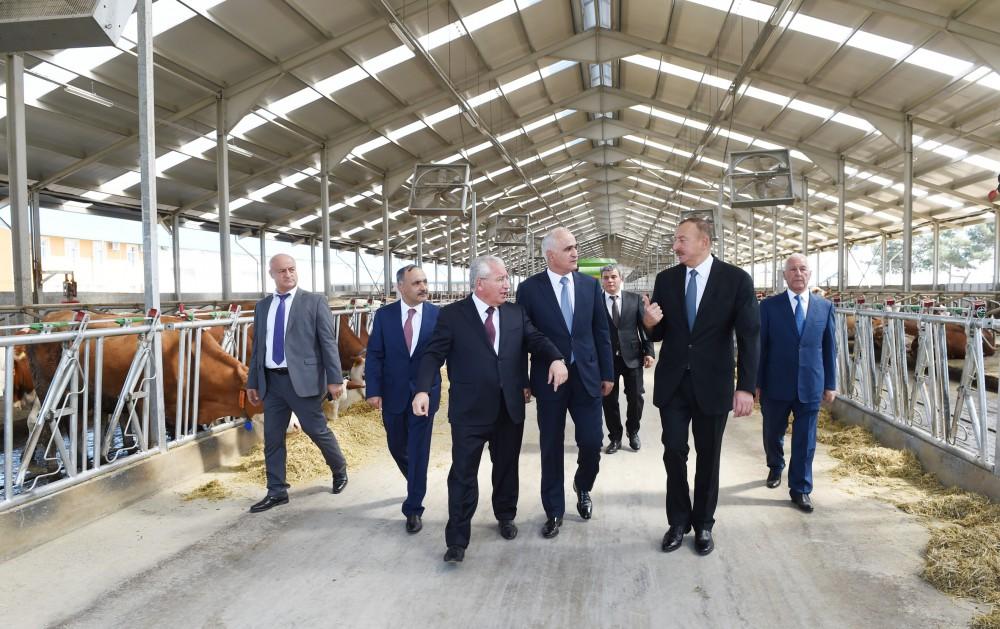 Ilham Aliyev inaugurates Yalama Agropark