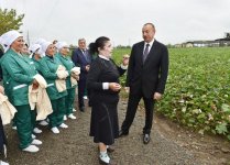 Prezident İlham Əliyev Sabirabadda pambıq sahəsi ilə tanış olub (FOTO) (YENİLƏNİB)