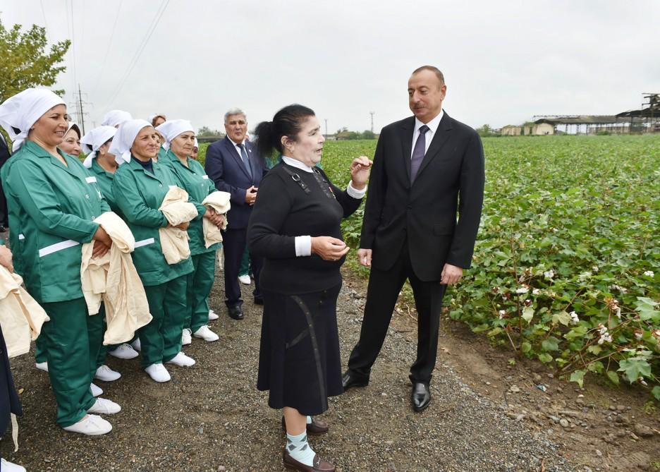 Prezident İlham Əliyev Sabirabadda pambıq sahəsi ilə tanış olub (FOTO) (YENİLƏNİB)