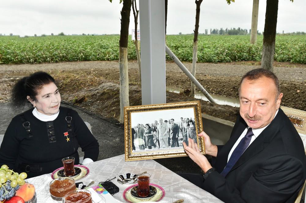 Президент Ильхам Алиев ознакомился  с хлопковым полем в Сабирабадском районе (ФОТО) (Версия 2)