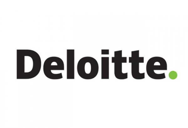 Uzbekistan intends to attract Deloitte in developing ICT strategy