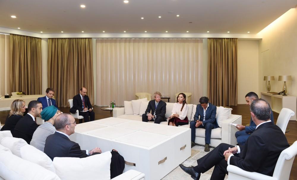 Mehriban Əliyeva İtaliya Senatında Azərbaycan-İtaliya dostluq qrupunun sədri ilə görüşüb