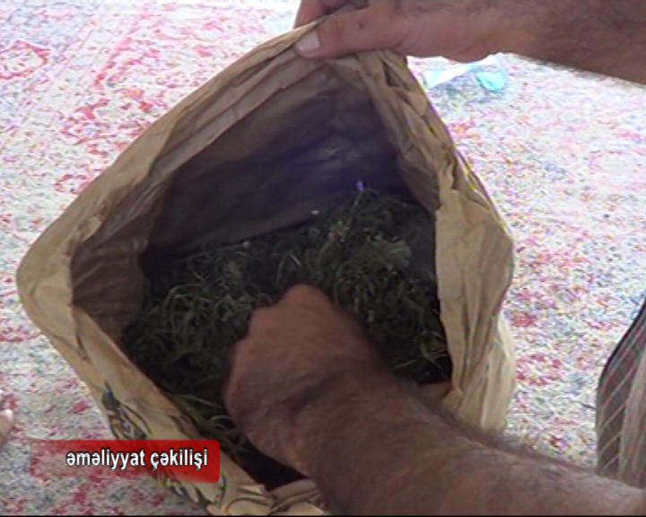 Sumqayıtda əməliyyat: 50 kq-a yaxın narkotik vasitə tapıldı (FOTO)