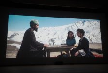Первая леди Азербайджана Мехрибан Алиева посетила премьеру фильма «Али и Нино» (ФОТО)