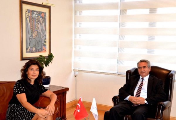 Состоялась встреча Гюнай Эфендиевой с председателем Нацкомиссии Турции по делам ЮНЕСКО
