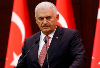 Turkish PM warns Qatar issue may turn to global problem