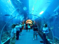 Сезон Дубая: В самом большом в мире шопинг-центре с акулами и пингвинами (ФОТО, часть IV)