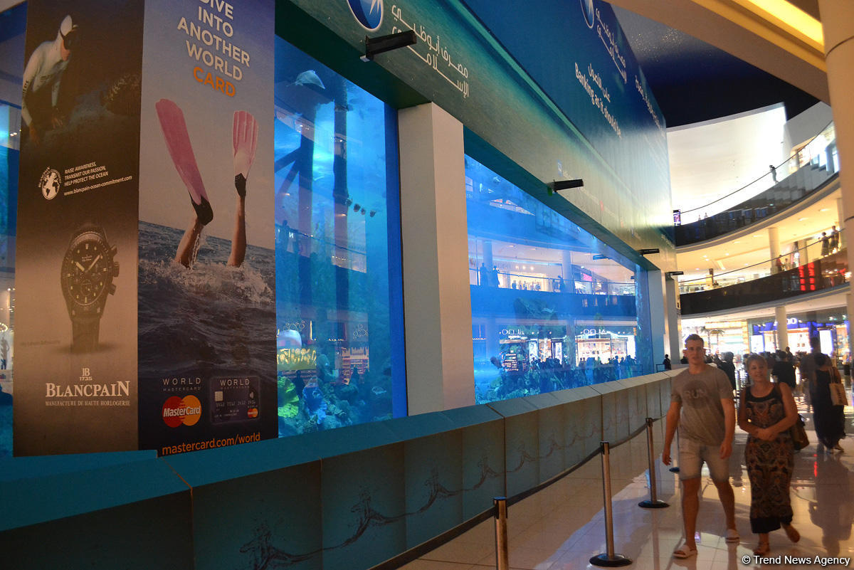 Сезон Дубая: В самом большом в мире шопинг-центре с акулами и пингвинами (ФОТО, часть IV)