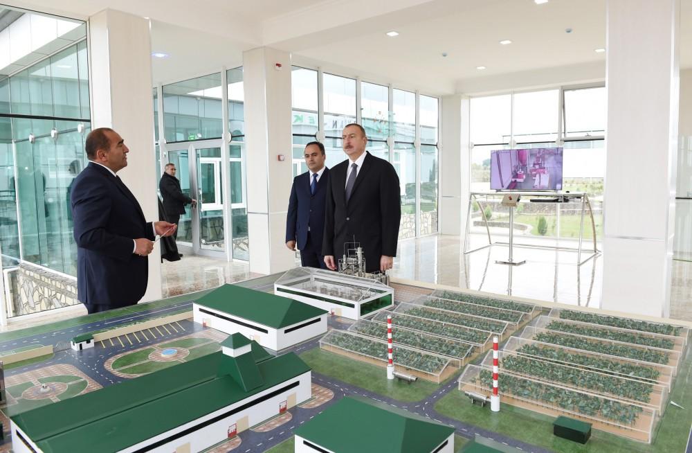 Ilham Aliyev inaugurates enterprises, boiler house in industrial park in Aghstafa (PHOTO)