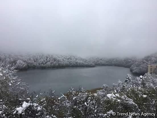 Göygöl Milli Parkına 25-30 santimetr qar yağıb - ağaclar qırılıb (FOTO)