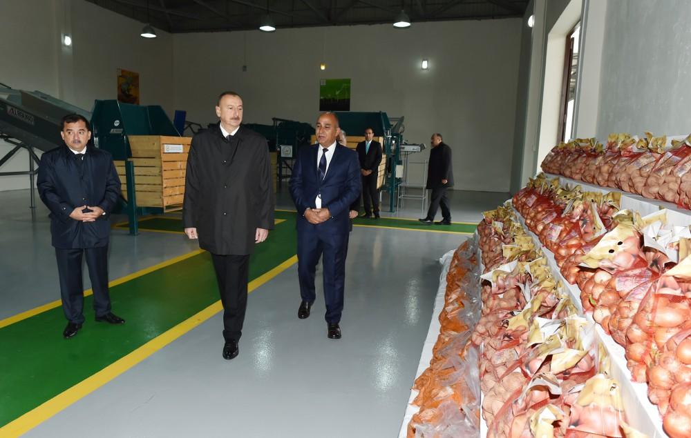 Президент Ильхам Алиев: Азербайджан превратится в важную в мире страну-экспортера сельхозпродукции (ФОТО)