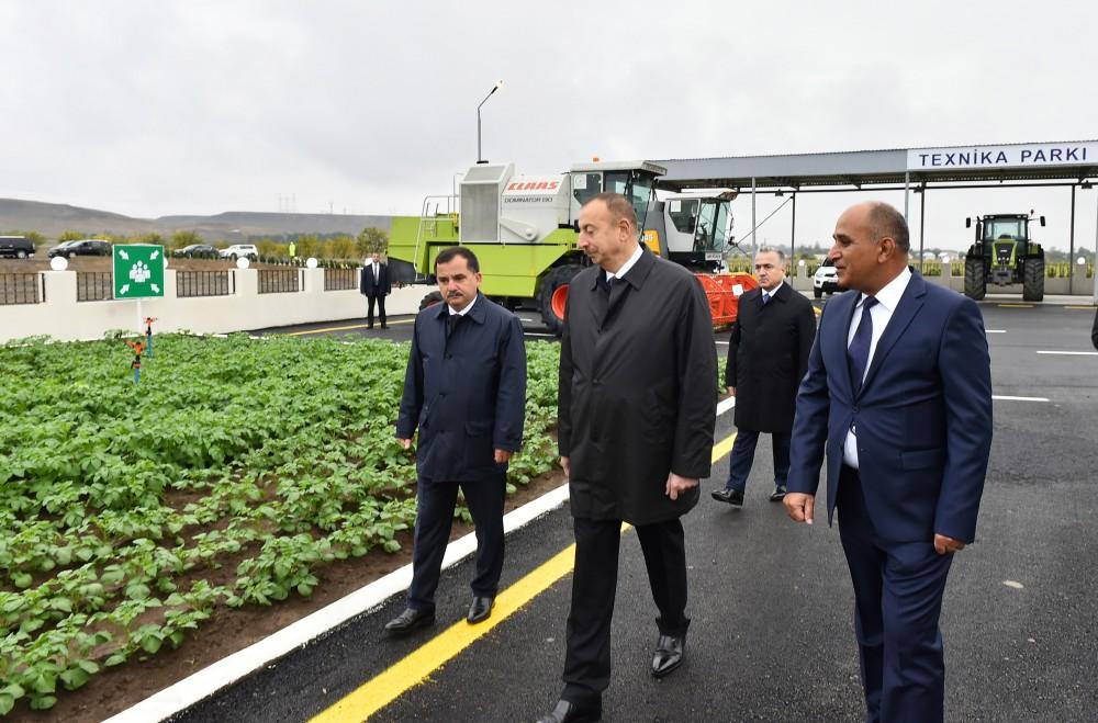 Президент Ильхам Алиев: Азербайджан превратится в важную в мире страну-экспортера сельхозпродукции (ФОТО)