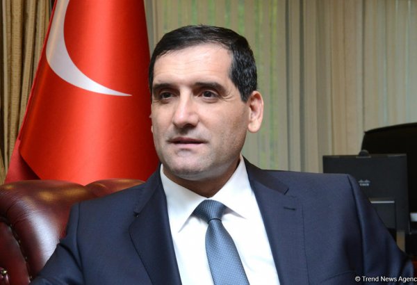 Турция будет решительно бороться с терроризмом - посол