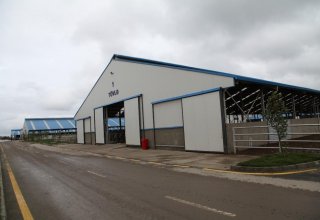 Cost, capacity of dairy plant in Azerbaijan’s Yalama agricultural park disclosed