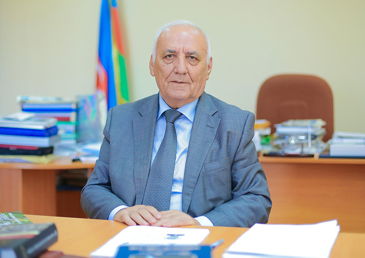 Академик Ягуб Махмудов: Армянские вандалы несут заслуженное наказание