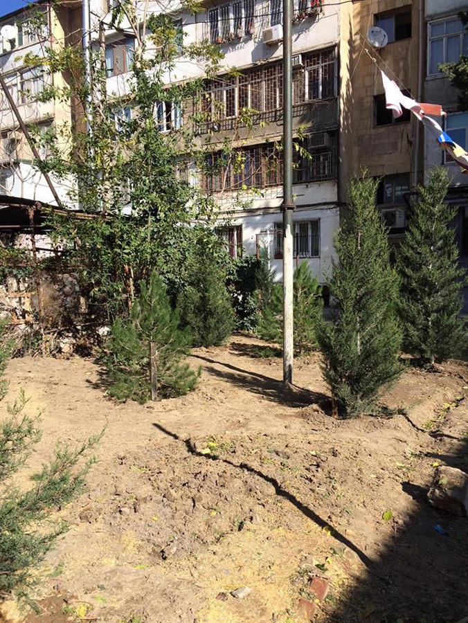 В Наримановском районе Баку восстановлены уничтоженные зеленые насаждения  (ФОТО)