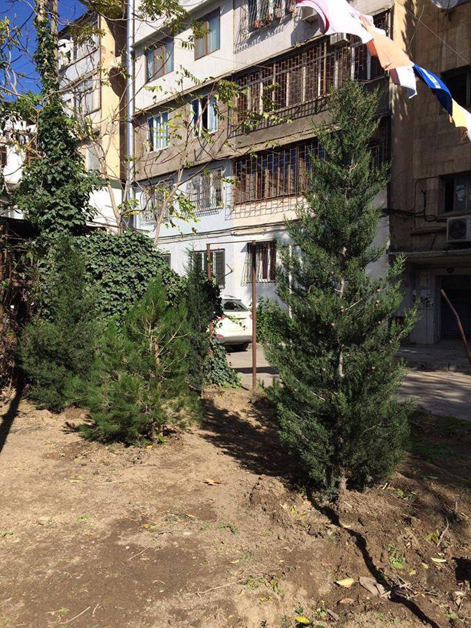 В Наримановском районе Баку восстановлены уничтоженные зеленые насаждения  (ФОТО)