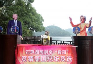 Çində “öncəgörən” meymun ABŞ-ın növbəti prezidenti qismində kimi “seçdi”? (FOTO)